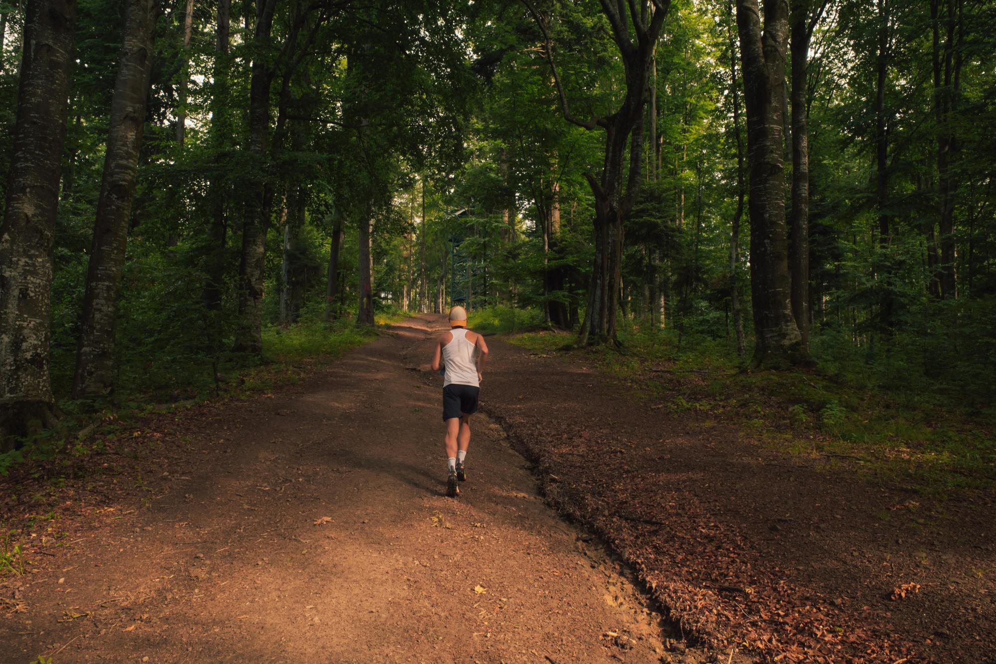 Follow-Along Workout Routines